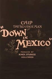 Image Down in Mexico 1929