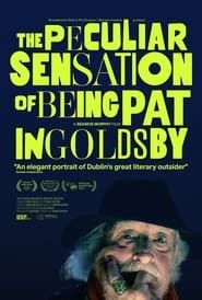 The Peculiar Sensation of Being Pat Ingoldsby series tv