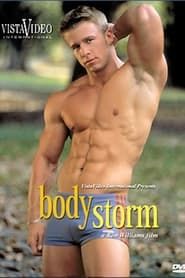 Image Body Storm