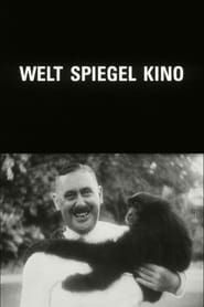Image Welt Spiegel Kino