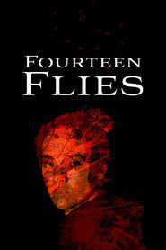 Fourteen Flies series tv