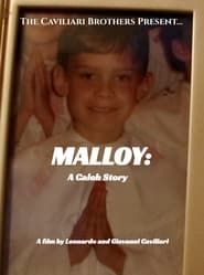 The Caviliari Brothers Present: MALLOY: A Caleb Story series tv