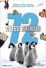72大可爱动物 series tv