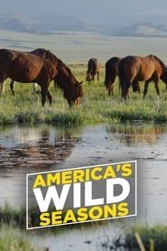 America's Wild Seasons series tv