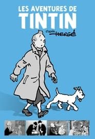 Image Les Aventures de Tintin, d'après Hergé