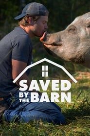 Saved By The Barn-hd