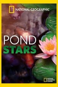 Pond Stars series tv