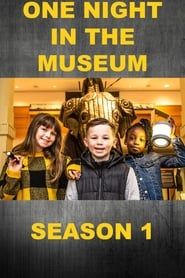 One Night in the Museum</b> saison 01 