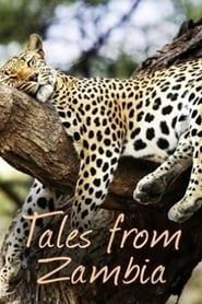 Tales from Zambia 2017</b> saison 02 