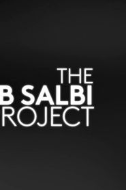 The Zainab Salbi Project series tv