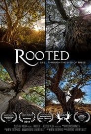 Rooted Life Through The Eyes Of Trees series tv