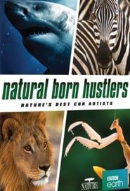 Natural Born Hustlers series tv