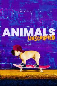 Image Animals Unscripted