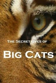 The Secret Lives Of Big Cats series tv