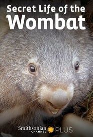 Secret Life of the Wombat series tv