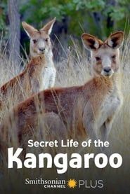Secret Life of the Kangaroo series tv