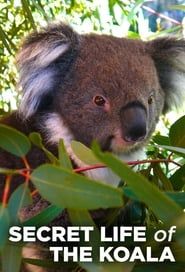 Secret Life of the Koala series tv