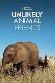 Unlikely Animal Friends series tv