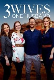 Three Wives, One Husband series tv
