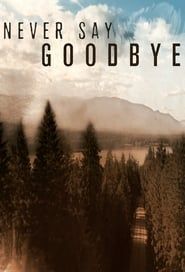 Never Say Goodbye series tv