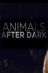 Animals After Dark series tv