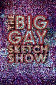 The Big Gay Sketch Show series tv