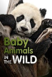 Baby Animals In The Wild series tv
