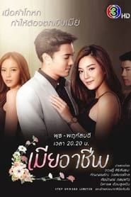 Perfect Wife series tv