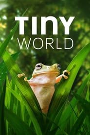 Tiny World series tv