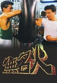 無名火 (1988)