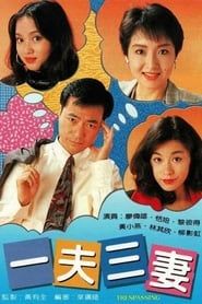 一夫三妻 (1994)