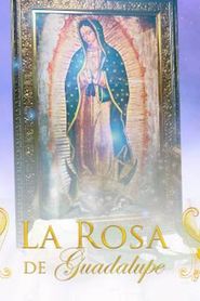 La Rosa De Guadalupe series tv