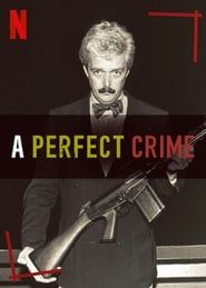 A Perfect Crime series tv