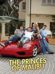 The Princes of Malibu series tv
