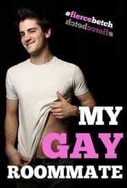 My Gay Roommate series tv