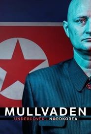 Muldvarpen - Undercover i Nordkorea (2020)