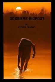 Dossiers Bigfoot series tv