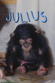 Julius 1984</b> saison 01 