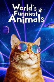 World's Funniest Animals series tv