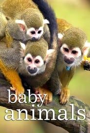 Baby Animals</b> saison 01 