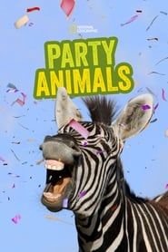 Party Animals 2016</b> saison 01 