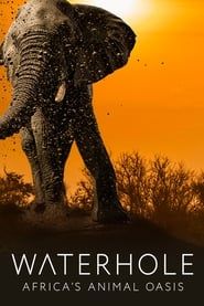 Waterhole: Africa's Animal Oasis series tv