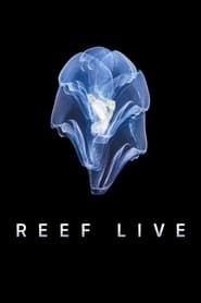 Reef Live series tv