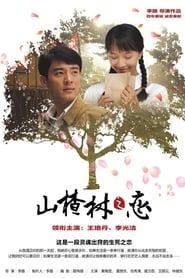 山楂树之恋 (2011)