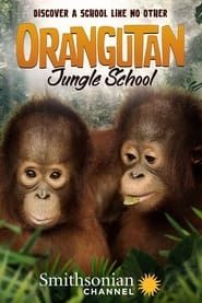 Orangutan Jungle School series tv