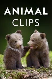 Animal Clips series tv