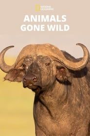 Animals Gone Wild series tv