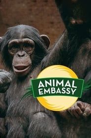 Animal Embassy series tv