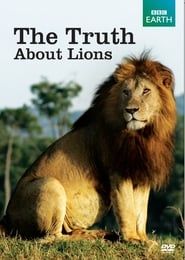 Image The Truth About Lions