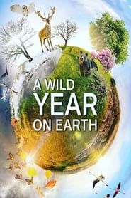 A Wild Year On Earth series tv